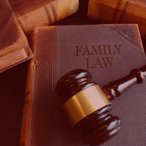 family law book